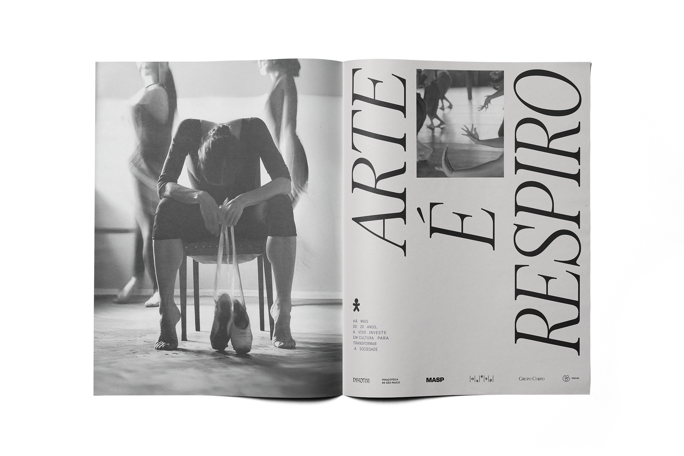 revista
